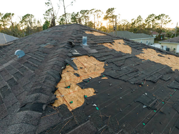 Best Green or Eco-Friendly Roofing Solutions  in Morse, LA